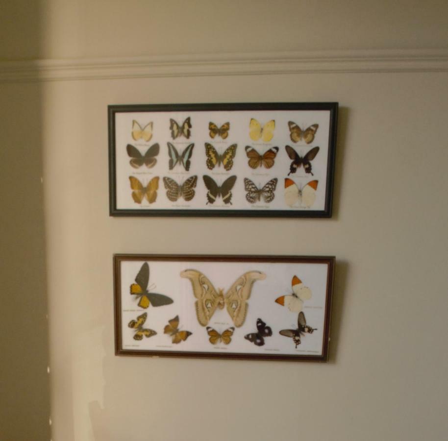 Sankence Lodge B&B Aylsham Esterno foto